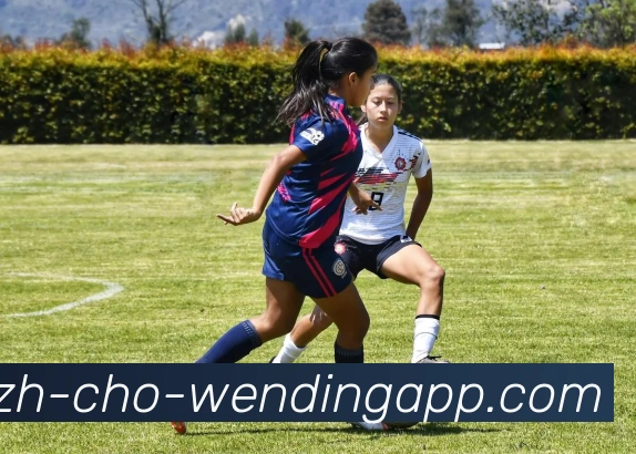 问鼎娱乐服务体系